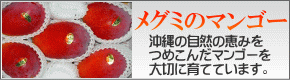 メグミのマンゴー