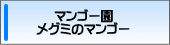 マンゴー園・メグミのマンゴー